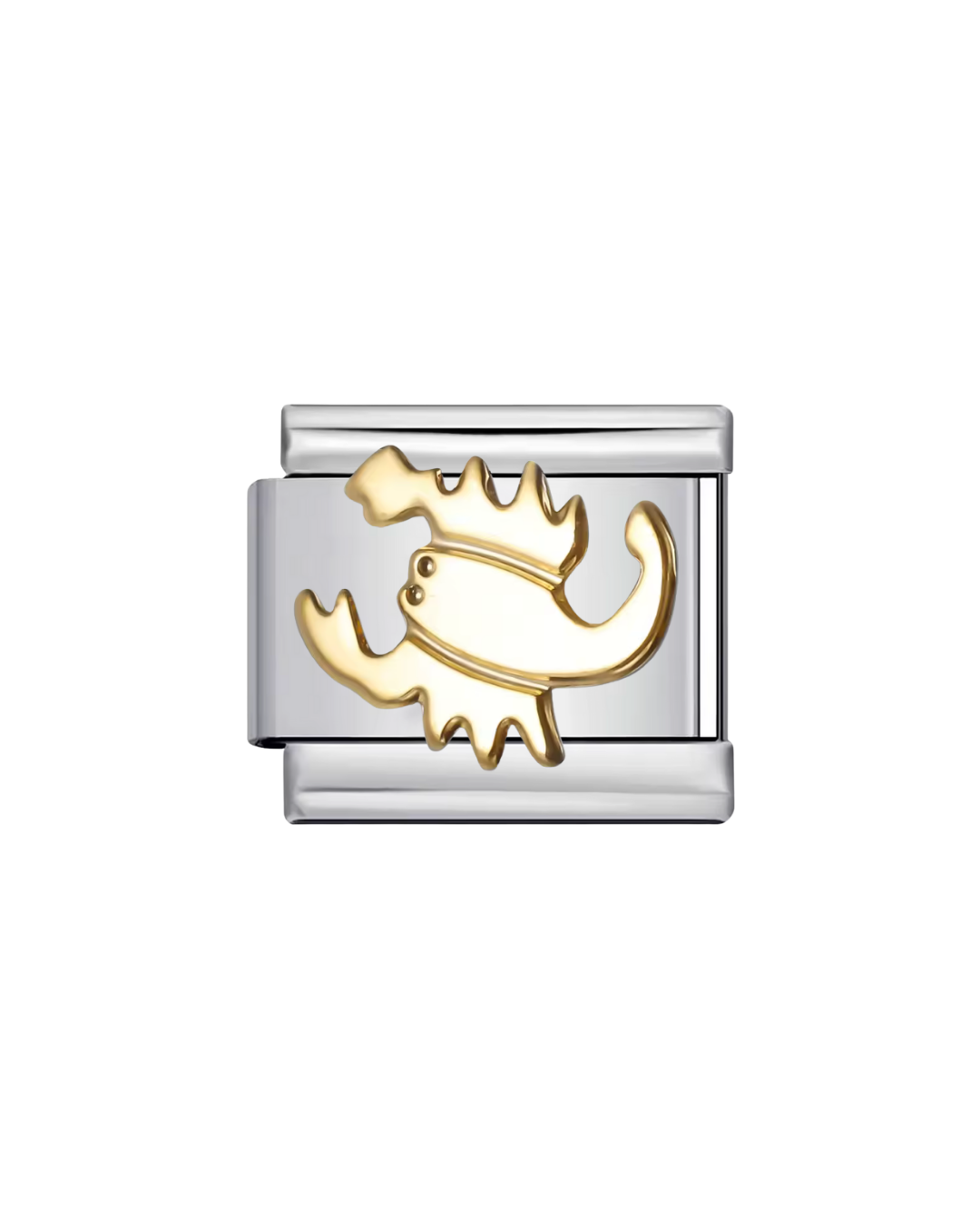 Signos zodiacales charm