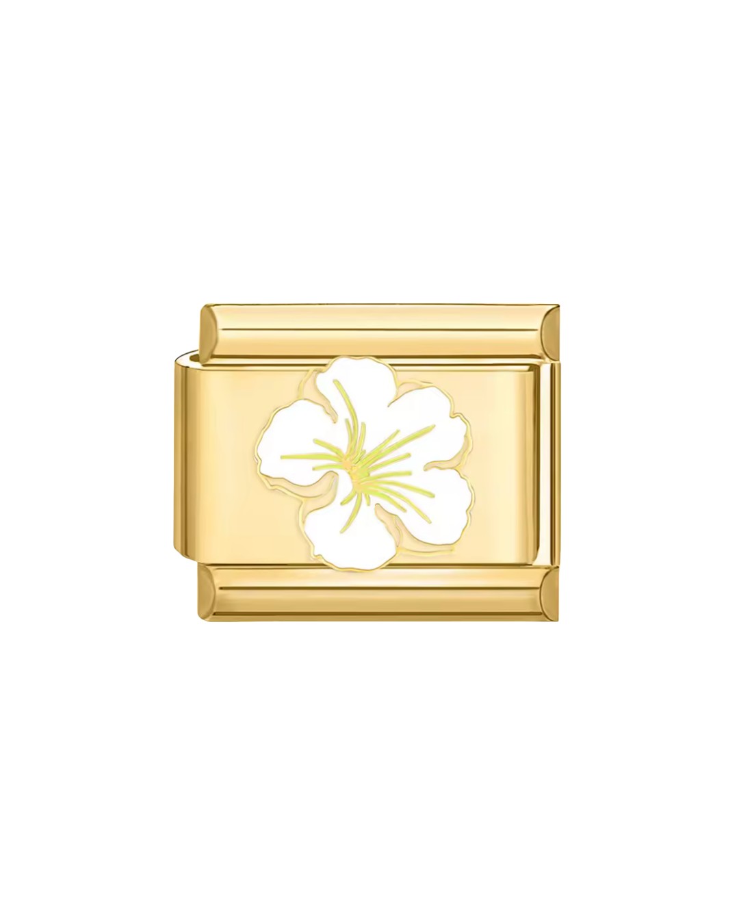 Hibiscus flower golden charm