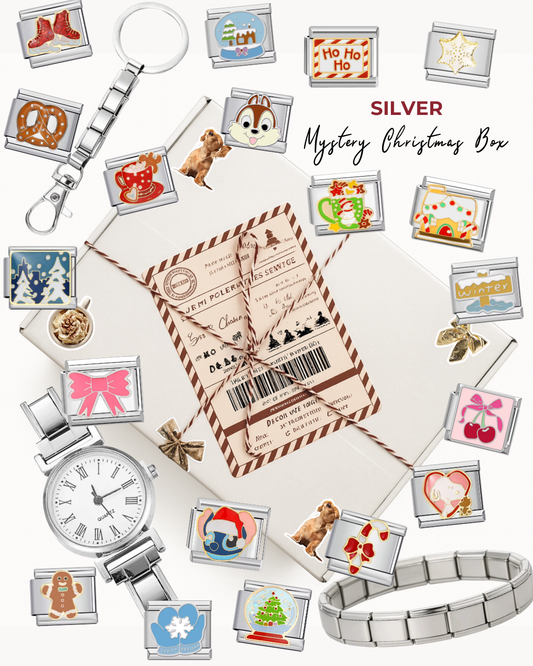 Mystery Christmas Box