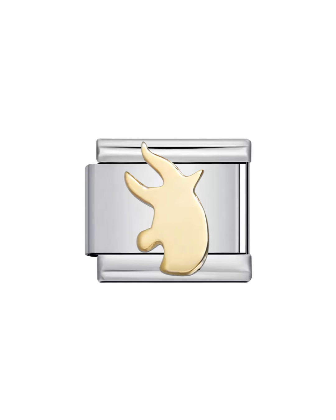 Signos zodiacales charm