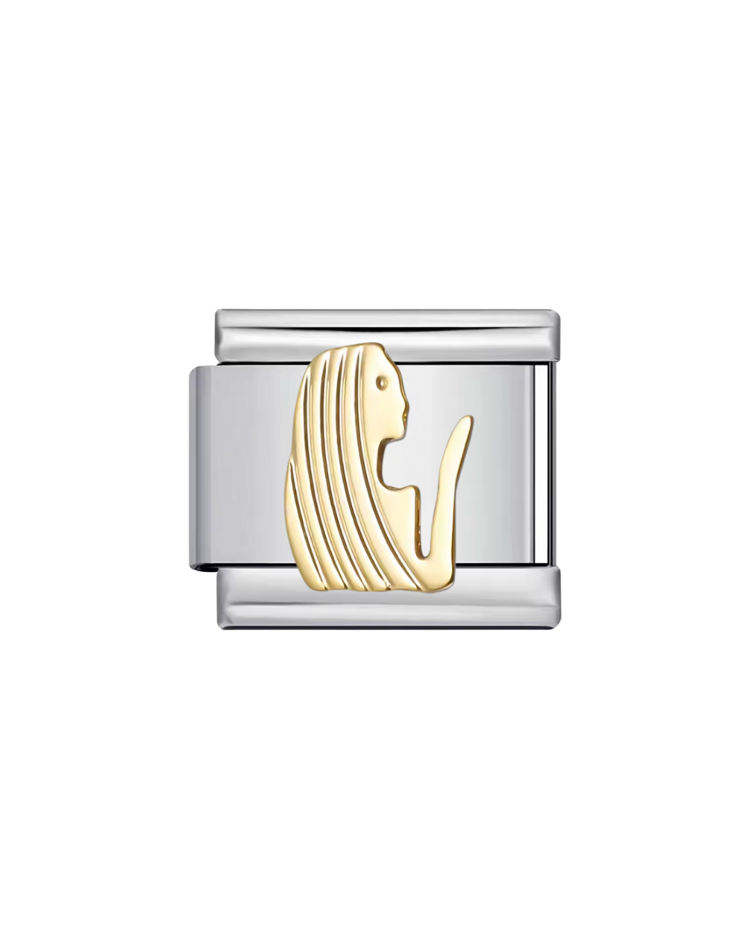 Signos zodiacales charm