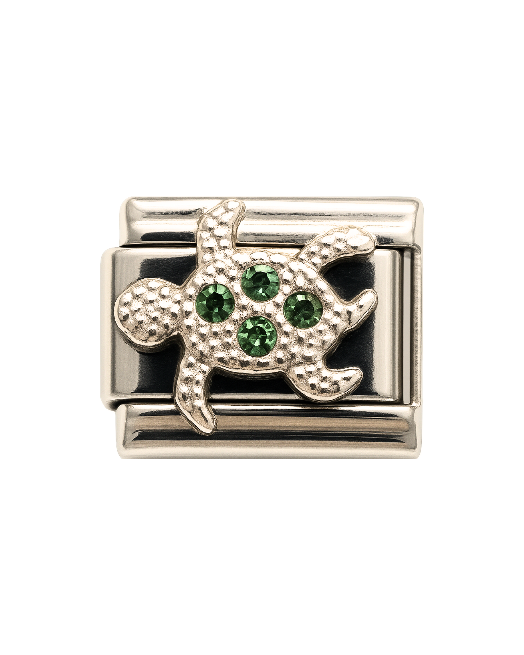 Tortuga marina charm