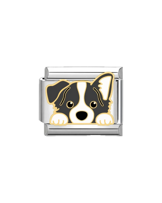 Border Collie charm