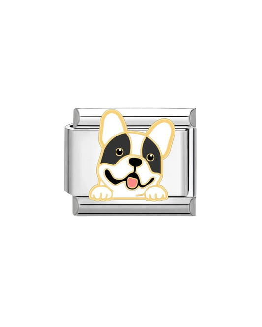 Bulldog francés charm
