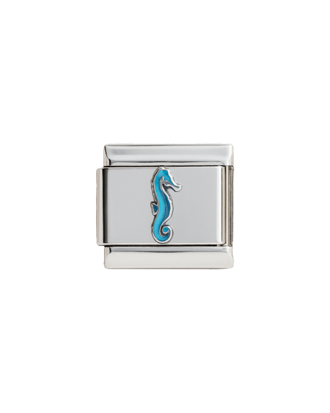 Caballito de mar charm