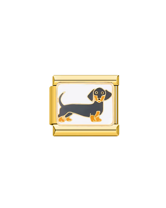 Perro salchicha golden charm