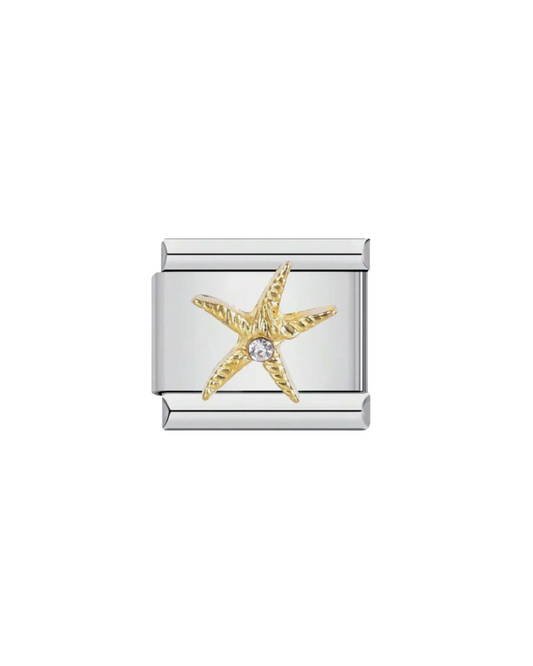 Estrella marina charm