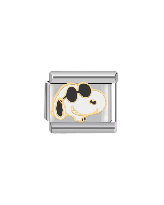 Snoopy charm
