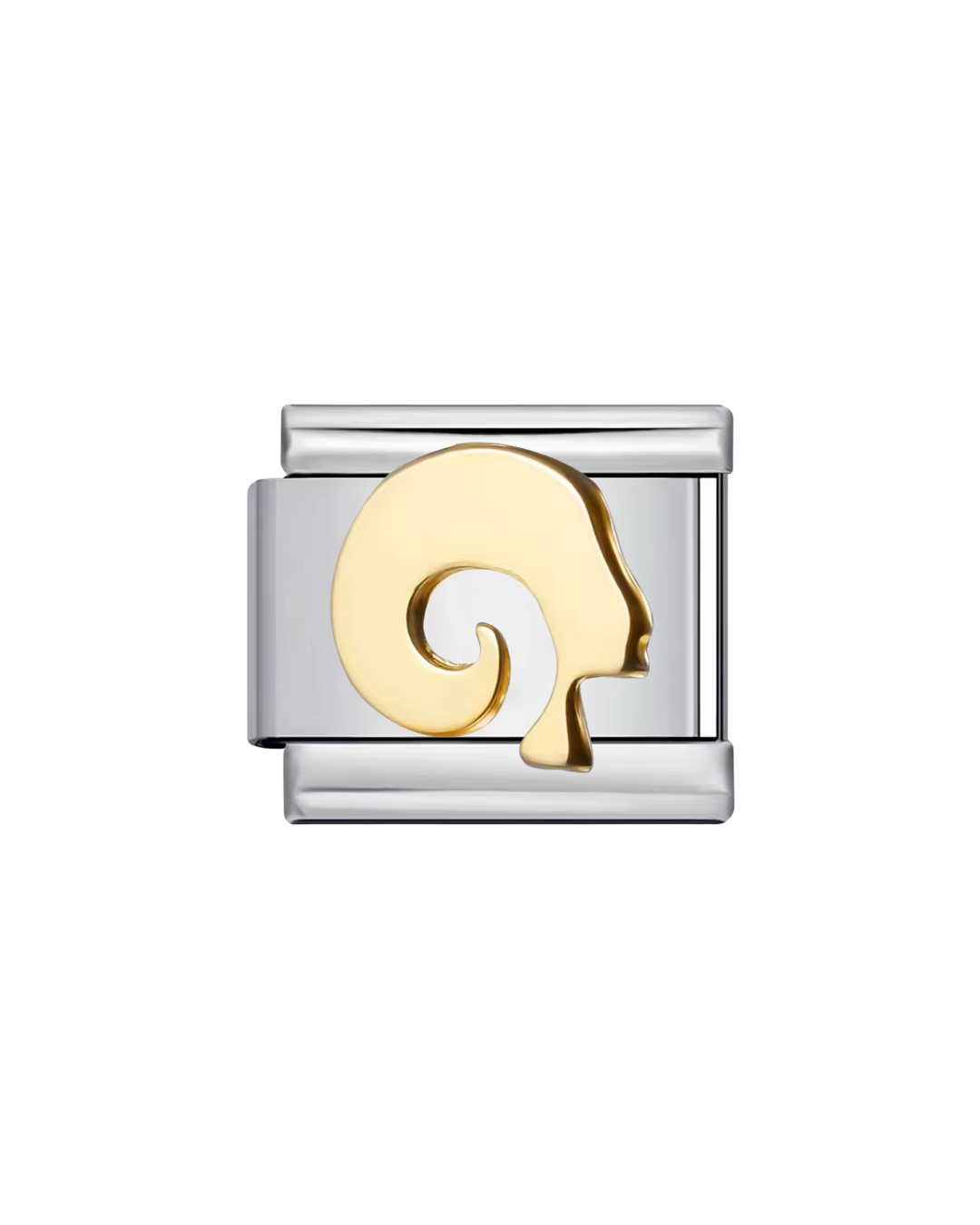 Signos zodiacales charm