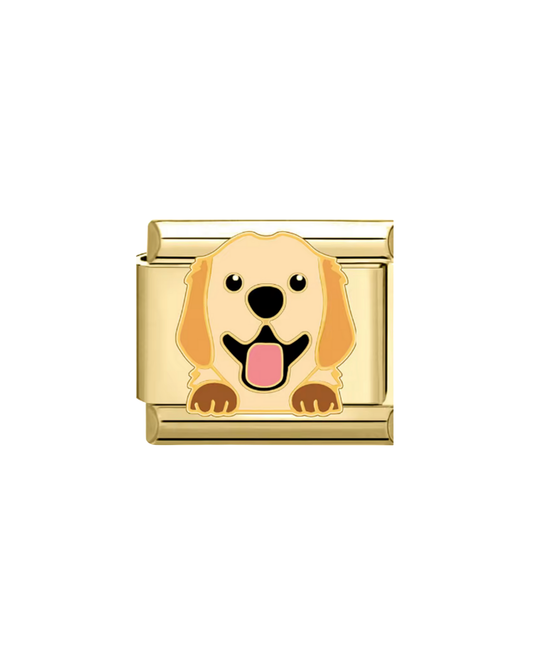 Golden Retriever golden charm