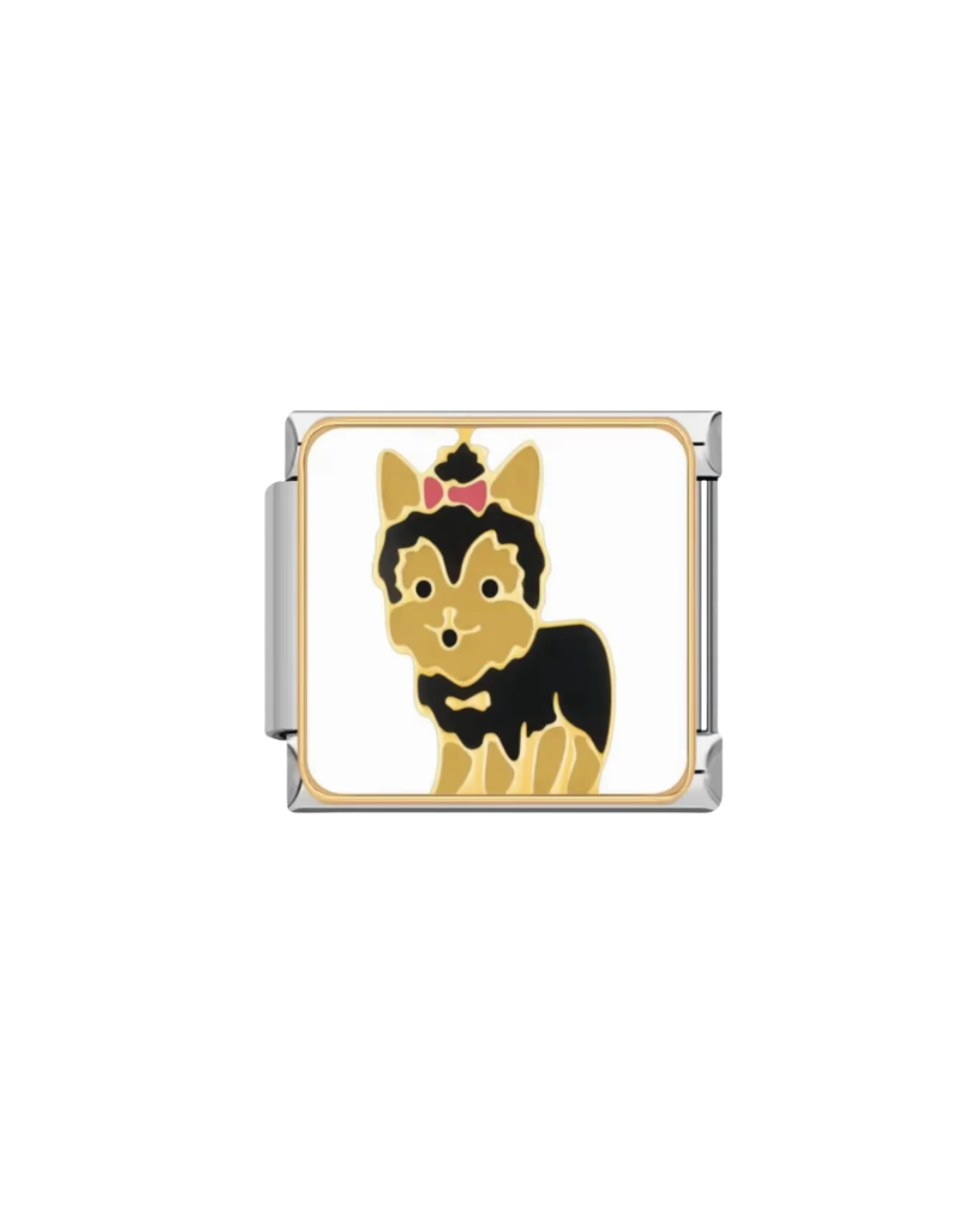 Yorki charm