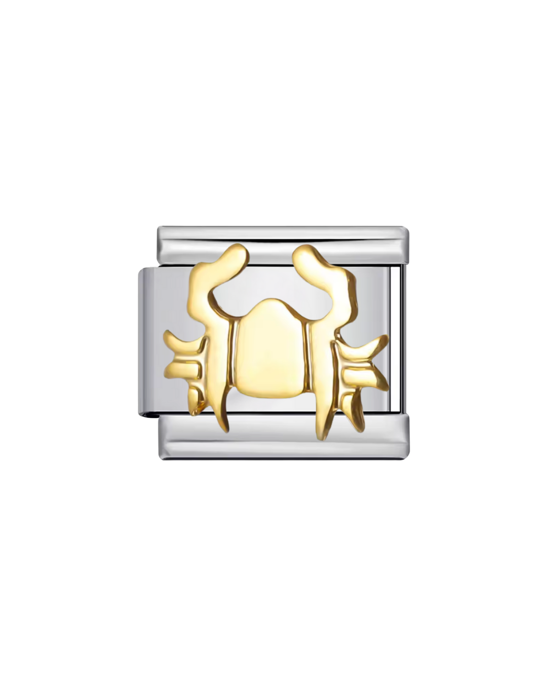 Signos zodiacales charm