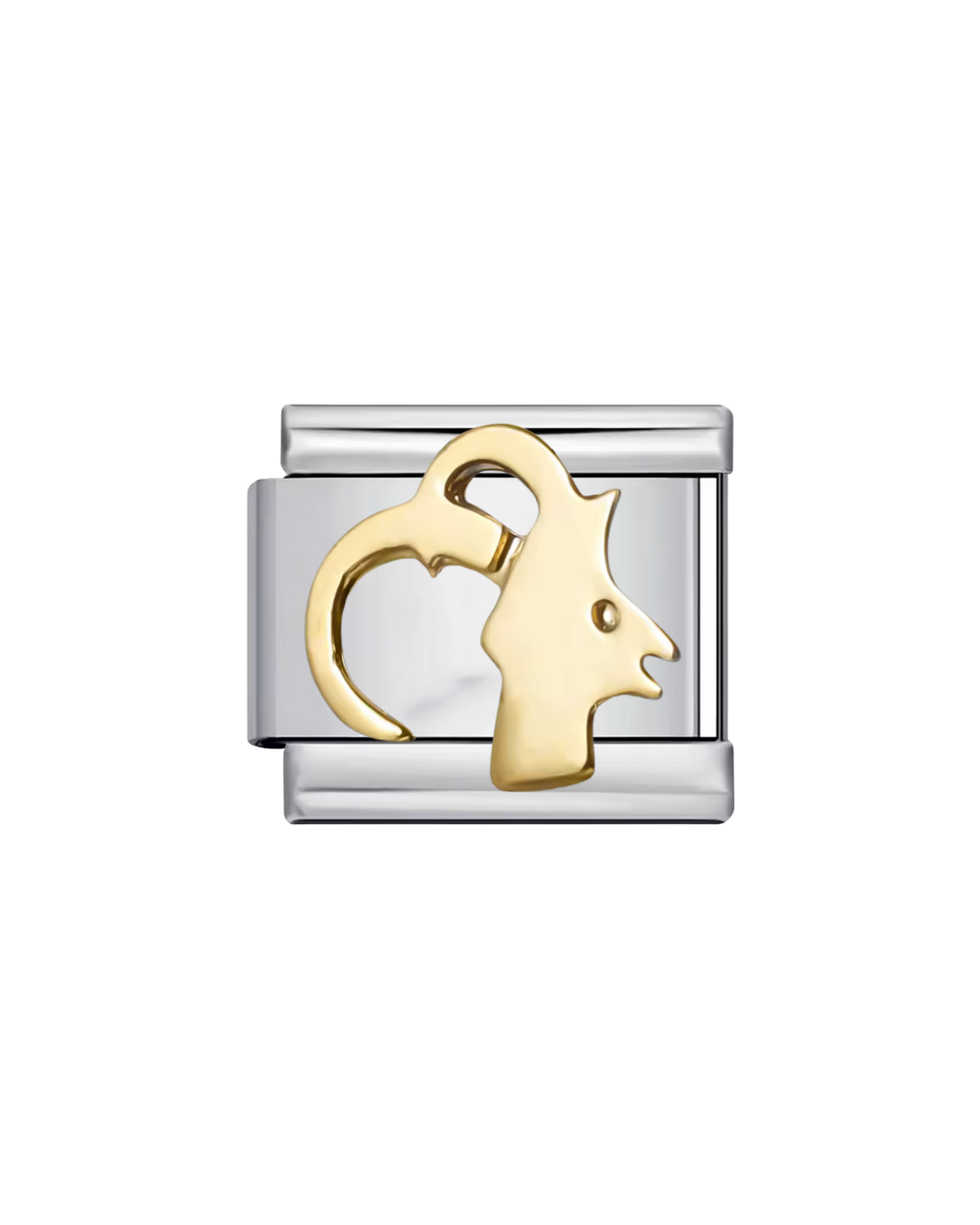 Signos zodiacales charm