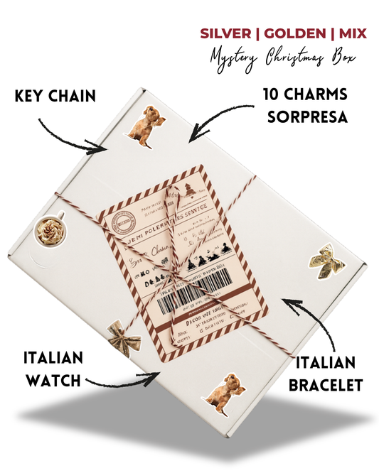 Mystery Christmas Box
