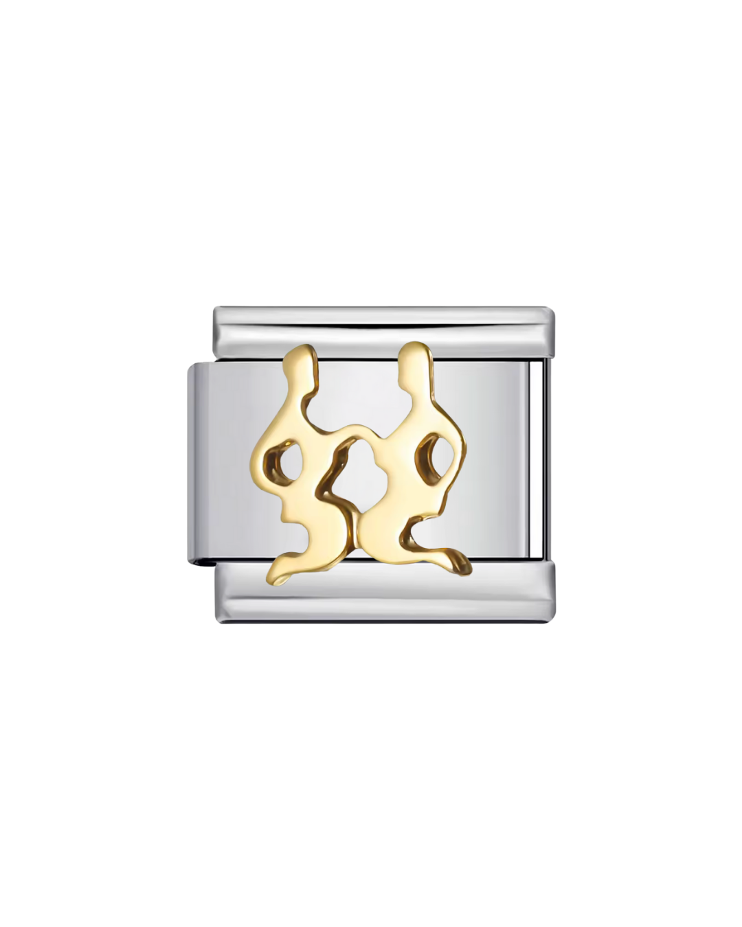 Signos zodiacales charm