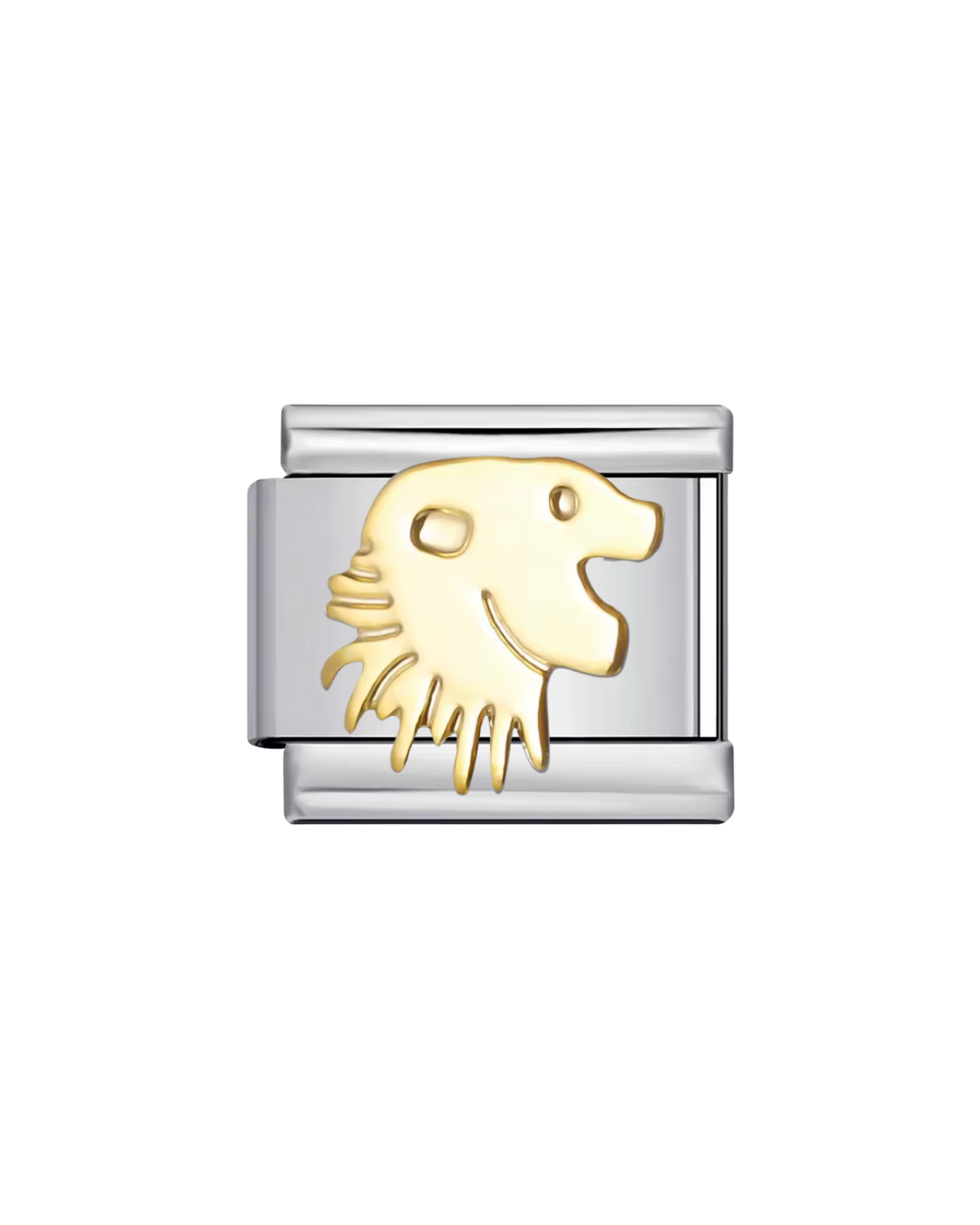 Signos zodiacales charm